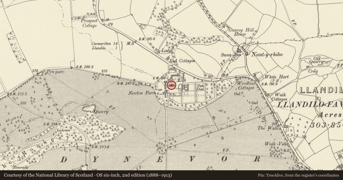 Ordnance Survey six-inch map, 2nd edition (1888–1913) covering the location of Byre Range (Formely Stabels) to NE of Dynevor Home Farmhouse, Llandeilo, Carmarthenshire, with a pin at the register's coordinates