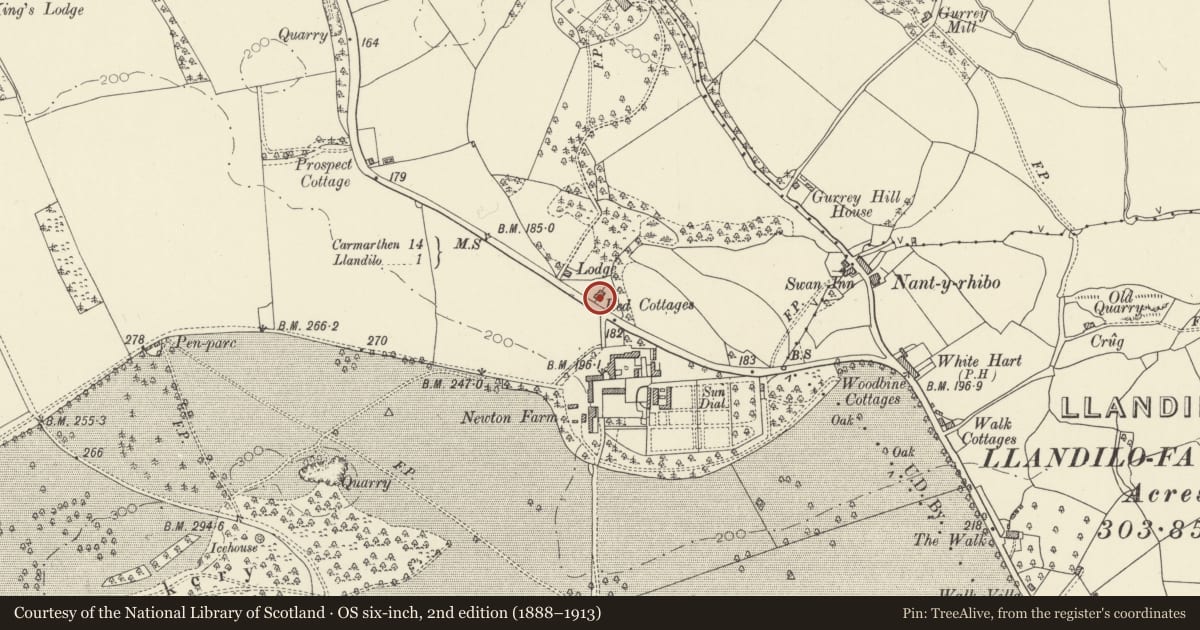 Ordnance Survey six-inch map, 2nd edition (1888–1913) covering the location of Red Cottages, Dynevor Park, Llandeilo, Carmarthenshire, with a pin at the register's coordinates