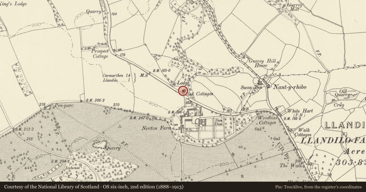 Ordnance Survey six-inch map, 2nd edition (1888–1913) covering the location of Red Cottages, Dynevor Park, Llandeilo, Carmarthenshire, with a pin at the register's coordinates