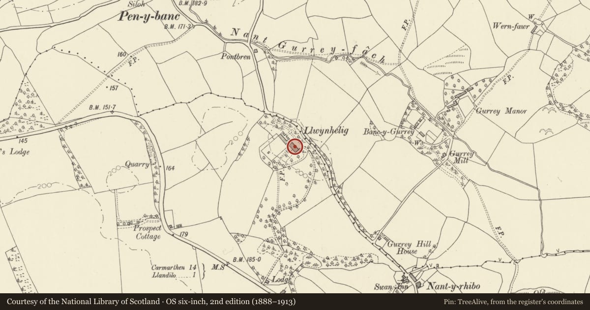 Ordnance Survey six-inch map, 2nd edition (1888–1913) covering the location of Llwynhelig House, Llandeilo, Carmarthenshire, with a pin at the register's coordinates