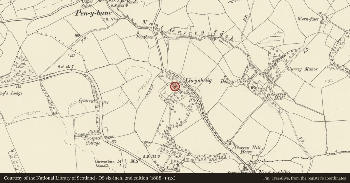 Ordnance Survey six-inch map, 2nd edition (1888–1913) covering the location of Stable Block at Llwynhelig House, Llandeilo, Carmarthenshire, with a pin at the register's coordinates