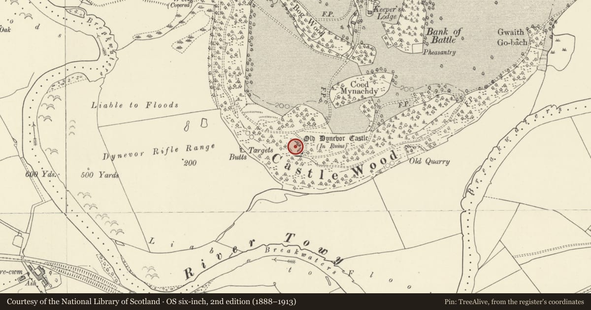 Ordnance Survey six-inch map, 2nd edition (1888–1913) covering the location of Old Dynevor Castle, Llandeilo, Carmarthenshire, with a pin at the register's coordinates