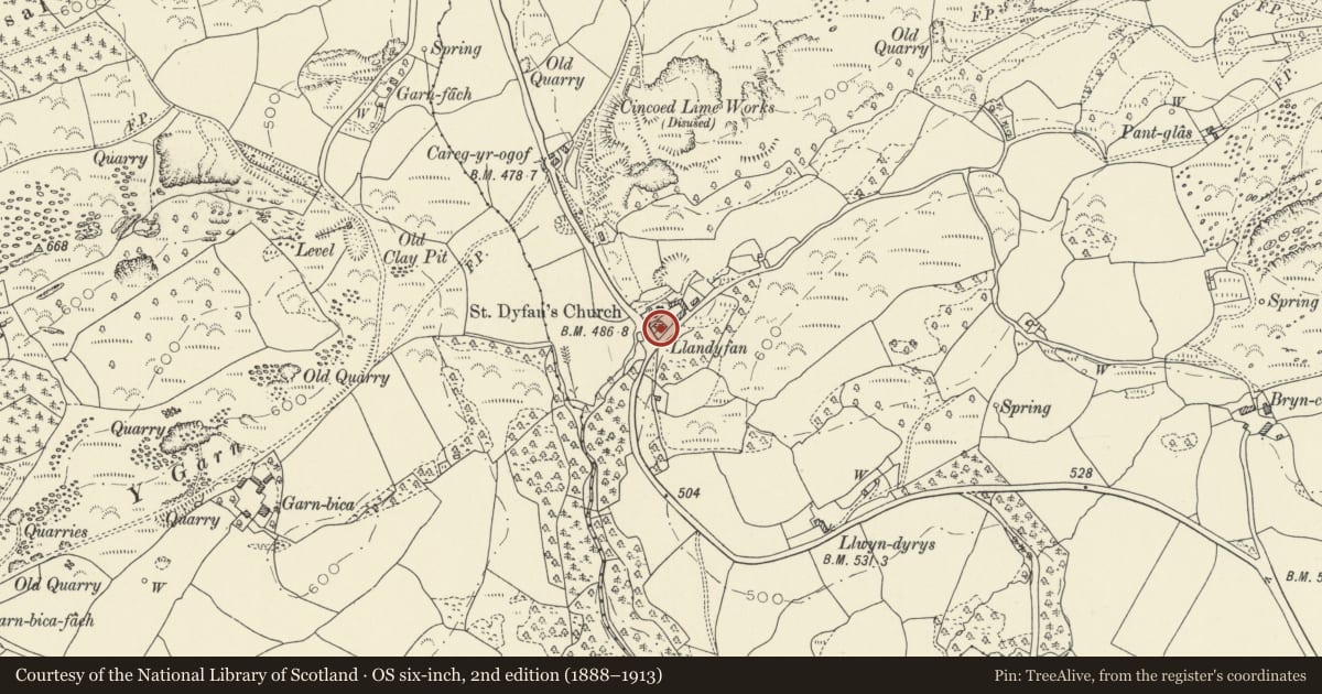 Ordnance Survey six-inch map, 2nd edition (1888–1913) covering the location of Llandyfan House, Cyngor Bro Dyffryn Cennen, Carmarthenshire, with a pin at the register's coordinates