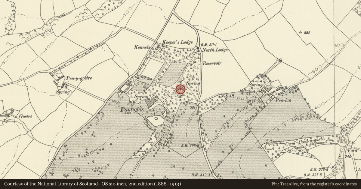 Ordnance Survey six-inch map, 2nd edition (1888–1913) covering the location of Former stable and coach block at Pantglas, Llanfynydd, Carmarthenshire, with a pin at the register's coordinates