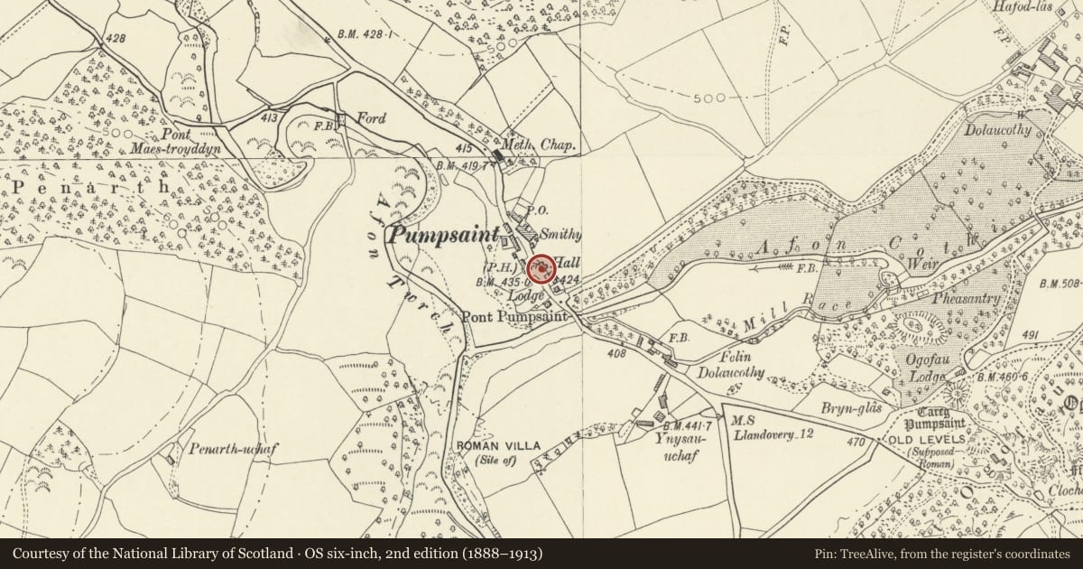 Ordnance Survey six-inch map, 2nd edition (1888–1913) covering the location of Former Carthouse and Stable opposite Dolaucothi Arms, Cynwyl Gaeo, Carmarthenshire, with a pin at the register's coordinates