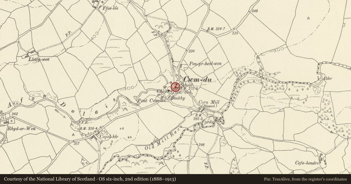 Ordnance Survey six-inch map, 2nd edition (1888–1913) covering the location of Cottage Row (Rhyderonnen), Talley, Carmarthenshire, with a pin at the register's coordinates