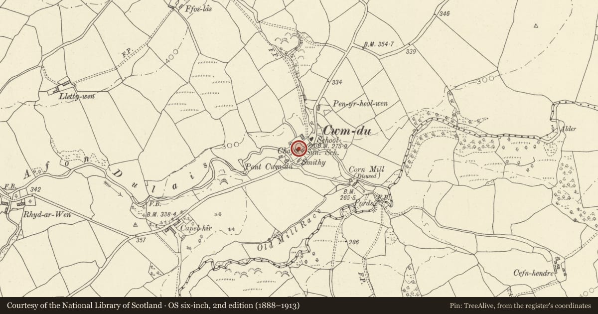 Ordnance Survey six-inch map, 2nd edition (1888–1913) covering the location of Providence Baptist Chapel, Cwmdu, Talley, Carmarthenshire, with a pin at the register's coordinates