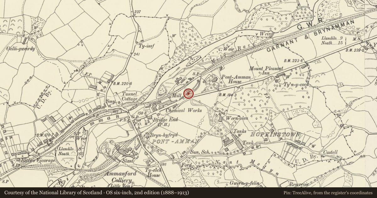 Ordnance Survey six-inch map, 2nd edition (1888–1913) covering the location of Old Pontammon Mill, Ammanford, Carmarthenshire, with a pin at the register's coordinates