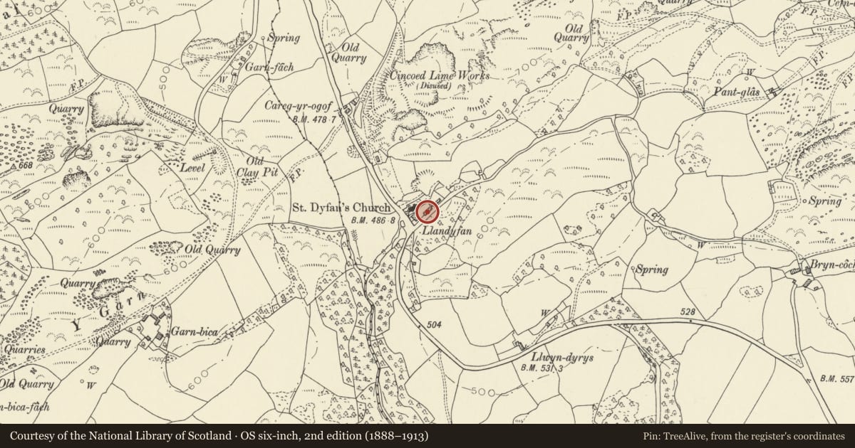 Ordnance Survey six-inch map, 2nd edition (1888–1913) covering the location of Outbuildings on SE side of farmyard at Llandyfan, Cyngor Bro Dyffryn Cennen, Carmarthenshire, with a pin at the register's coordinates