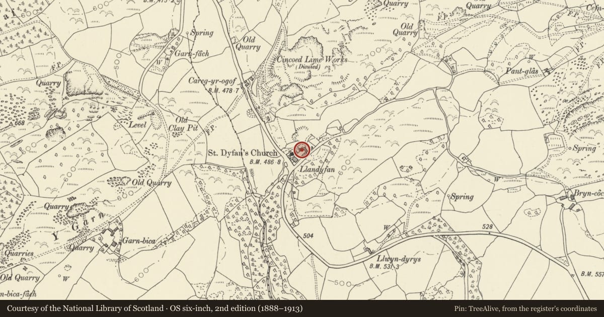 Ordnance Survey six-inch map, 2nd edition (1888–1913) covering the location of Outbuilding on N side of farmyard at Llandyfan, Cyngor Bro Dyffryn Cennen, Carmarthenshire, with a pin at the register's coordinates