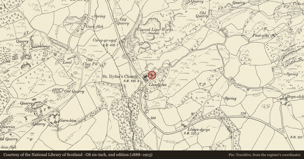 Ordnance Survey six-inch map, 2nd edition (1888–1913) covering the location of Barn to the rear of Llandyfan, Cyngor Bro Dyffryn Cennen, Carmarthenshire, with a pin at the register's coordinates