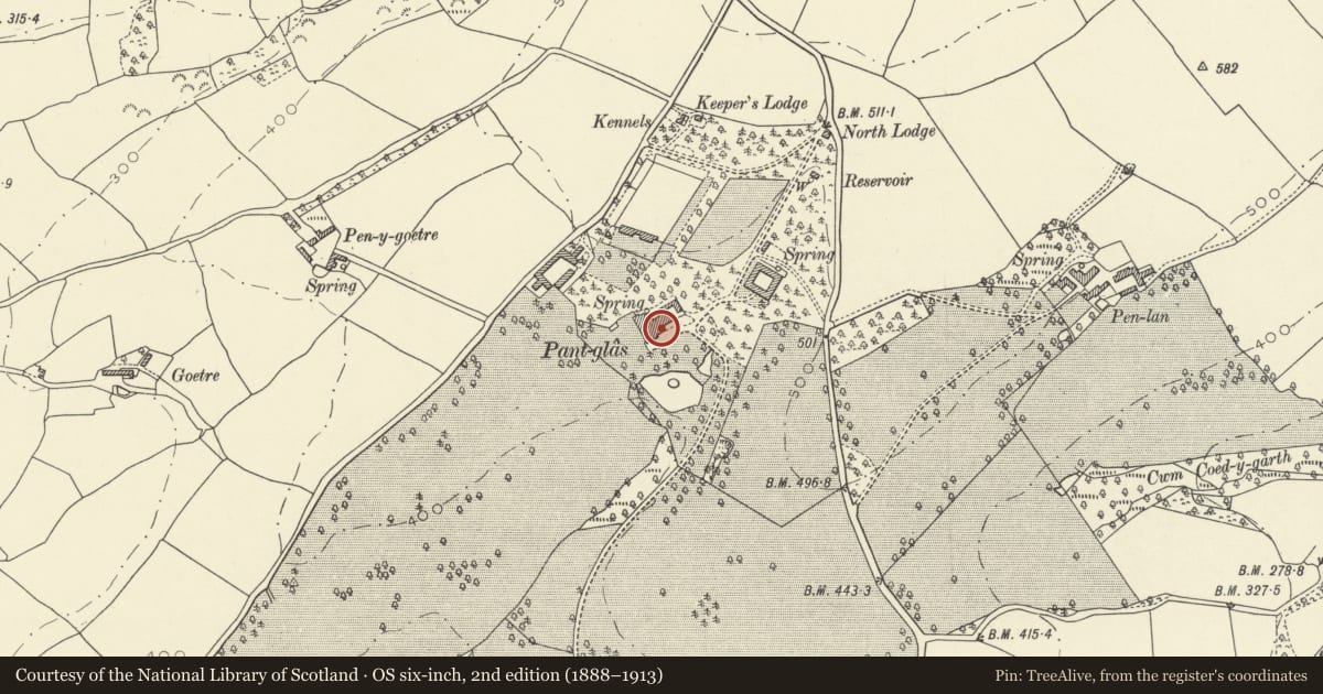 Ordnance Survey six-inch map, 2nd edition (1888–1913) covering the location of Former entrance tower to Pantglas, including attached remains of house, Llanfynydd, Carmarthenshire, with a pin at the register's coordinates