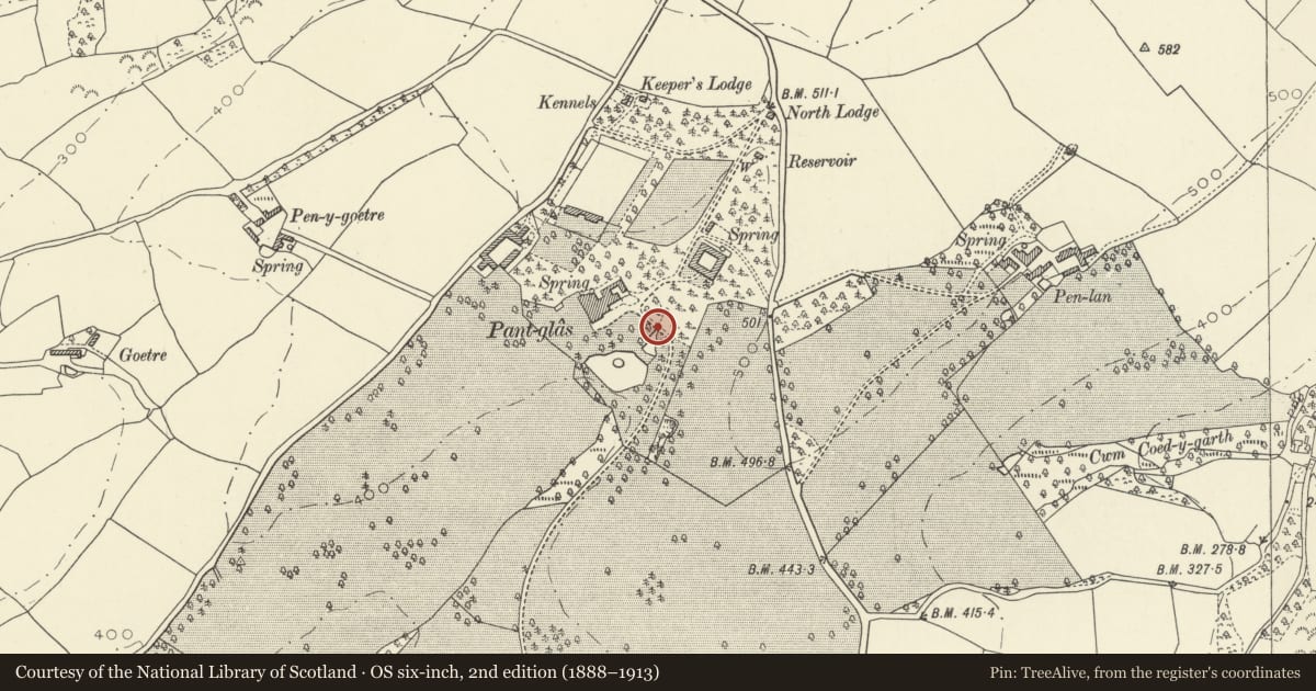 Ordnance Survey six-inch map, 2nd edition (1888–1913) covering the location of Ornamental bridge in grounds of Pantglas, Llanfynydd, Carmarthenshire, with a pin at the register's coordinates