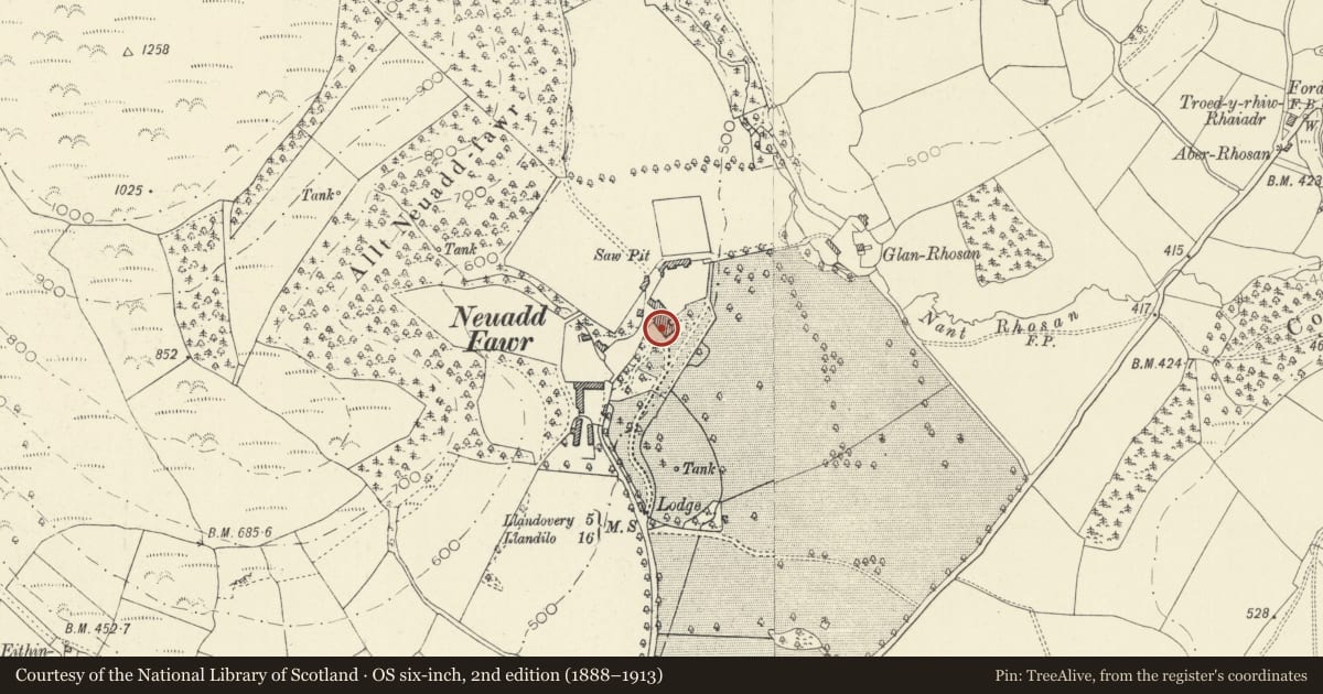 Ordnance Survey six-inch map, 2nd edition (1888–1913) covering the location of Neuadd Fawr, Cilycwm, Carmarthenshire, with a pin at the register's coordinates