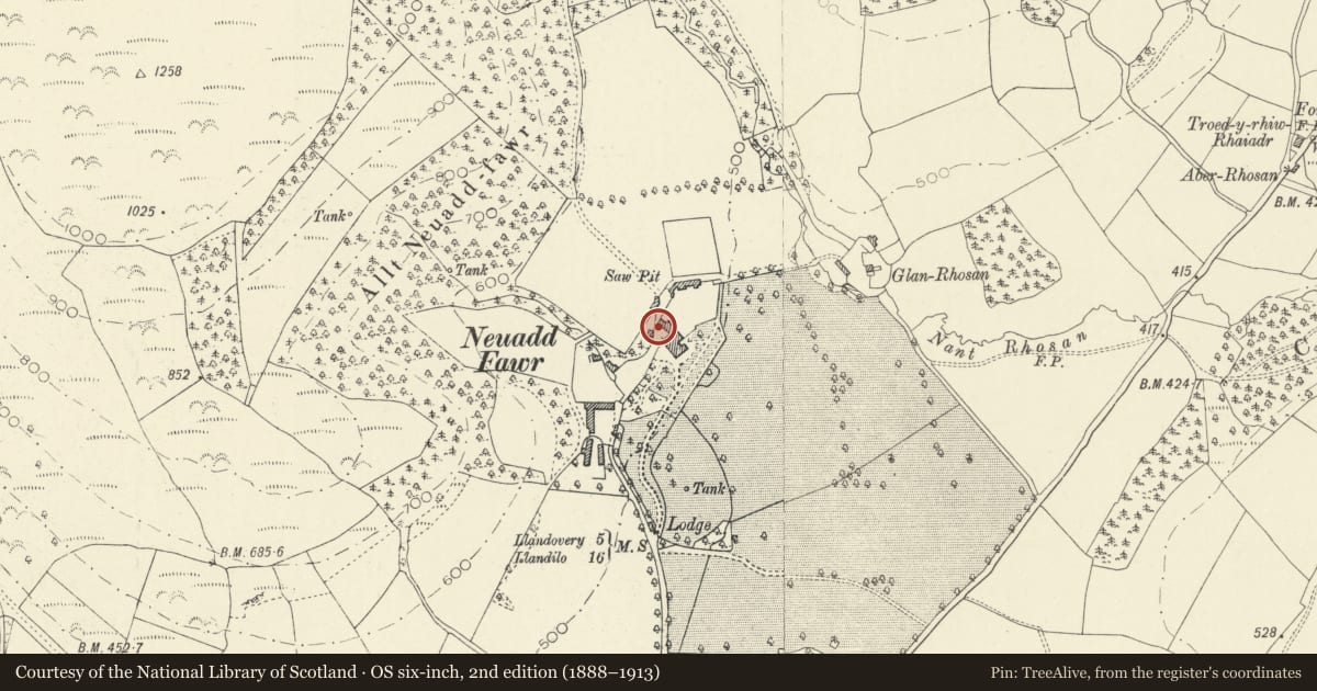 Ordnance Survey six-inch map, 2nd edition (1888–1913) covering the location of Coach House at Neuadd Fawr, Cilycwm, Carmarthenshire, with a pin at the register's coordinates