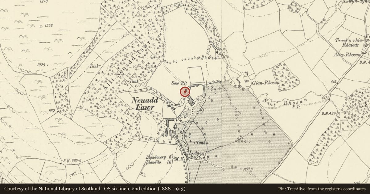 Ordnance Survey six-inch map, 2nd edition (1888–1913) covering the location of Stable at Neuadd Fawr, Cilycwm, Carmarthenshire, with a pin at the register's coordinates