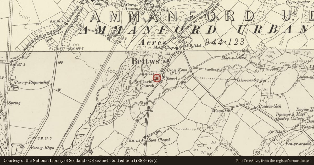 Ordnance Survey six-inch map, 2nd edition (1888–1913) covering the location of St David's Parish Church, Betws, Carmarthenshire, with a pin at the register's coordinates