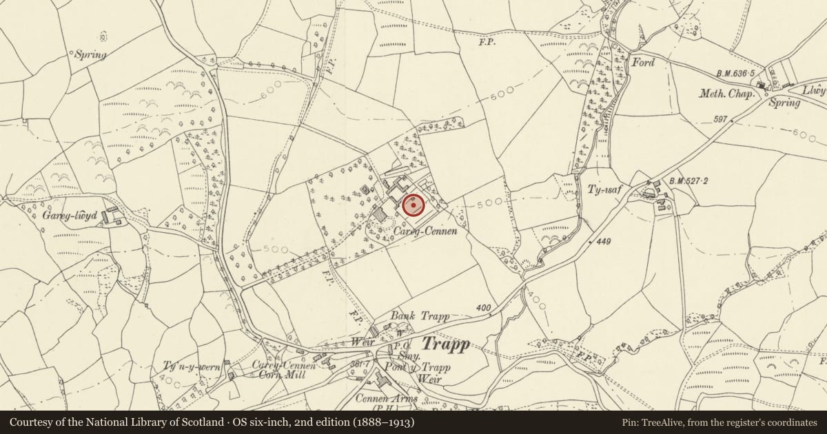 Ordnance Survey six-inch map, 2nd edition (1888–1913) covering the location of Walled garden and attached outbuildings at Carreg Cennen House, Dyffryn Cennen, Carmarthenshire, with a pin at the register's coordinates