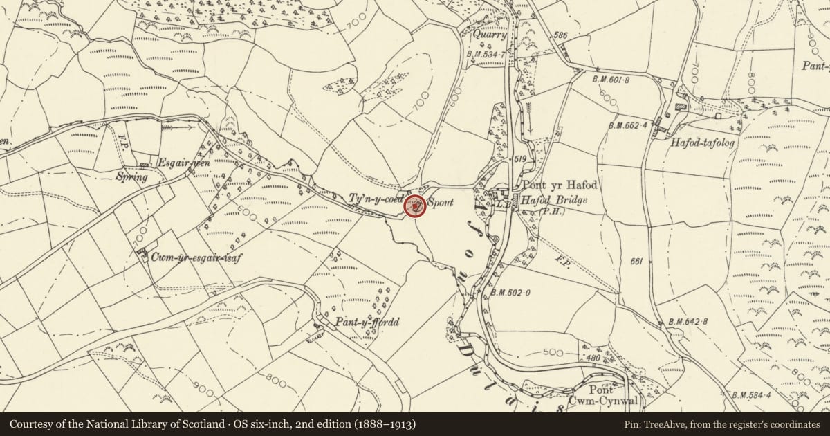 Ordnance Survey six-inch map, 2nd edition (1888–1913) covering the location of Ty'n Coed, Cynwyl Gaeo, Carmarthenshire, with a pin at the register's coordinates