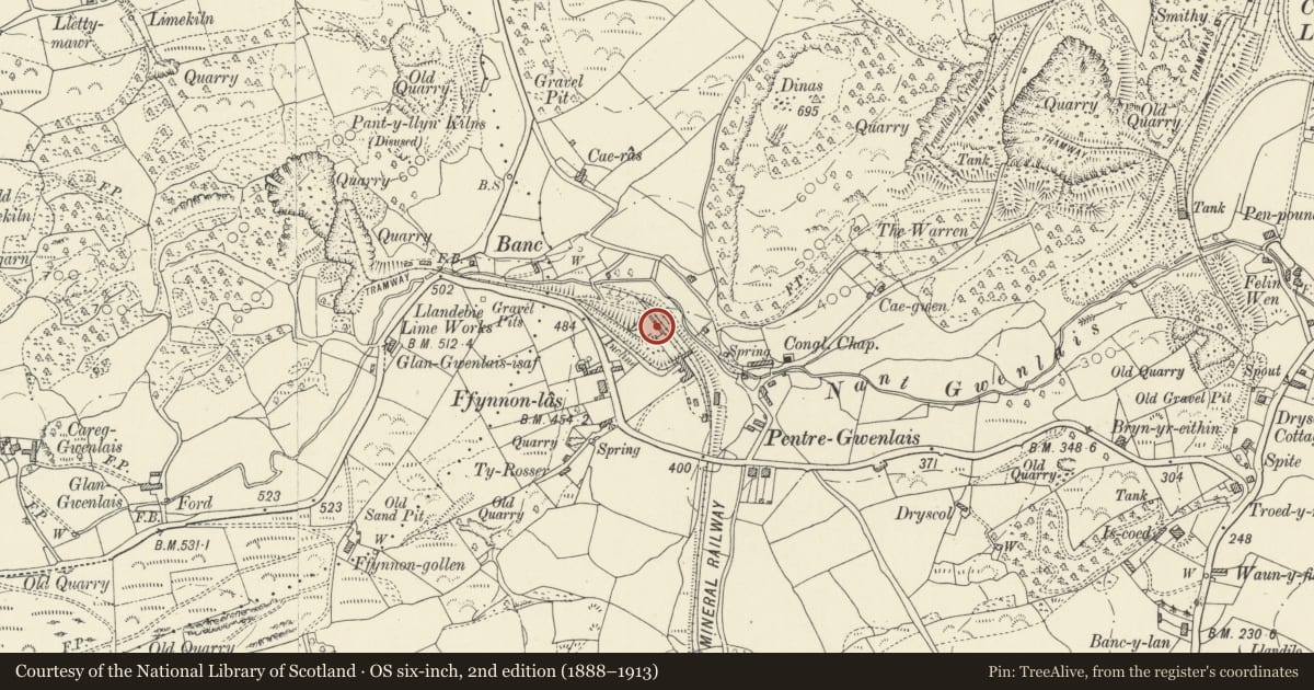 Ordnance Survey six-inch map, 2nd edition (1888–1913) covering the location of Bank of Lime Kilns at Pentre Gwenlais Stone Quarry, Pentre Gwenlais Road (NE side), Llandybie, Carmarthenshire, with a pin at the register's coordinates