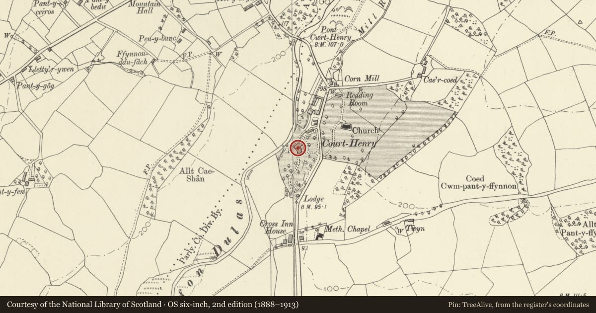 Ordnance Survey six-inch map, 2nd edition (1888–1913) covering the location of Court Henry, Llangathen, Carmarthenshire, with a pin at the register's coordinates
