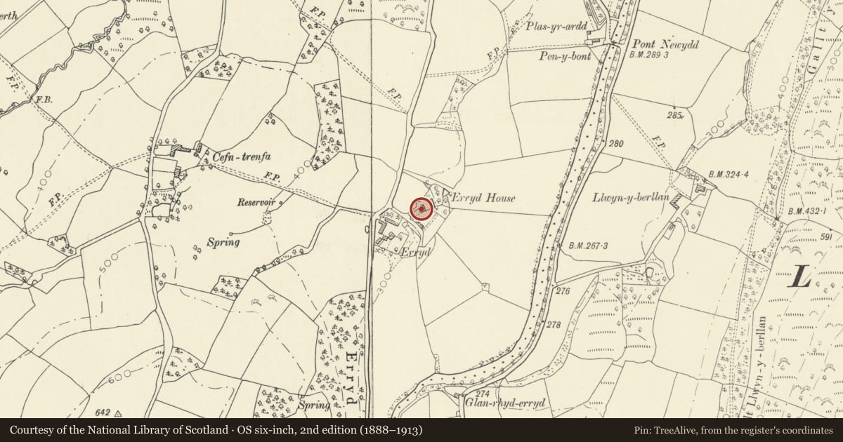 Ordnance Survey six-inch map, 2nd edition (1888–1913) covering the location of Erryd, Cilycwm, Carmarthenshire, with a pin at the register's coordinates