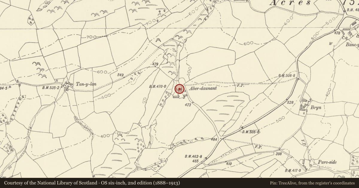 Ordnance Survey six-inch map, 2nd edition (1888–1913) covering the location of Aberdeunant, Llansadwrn, Carmarthenshire, with a pin at the register's coordinates