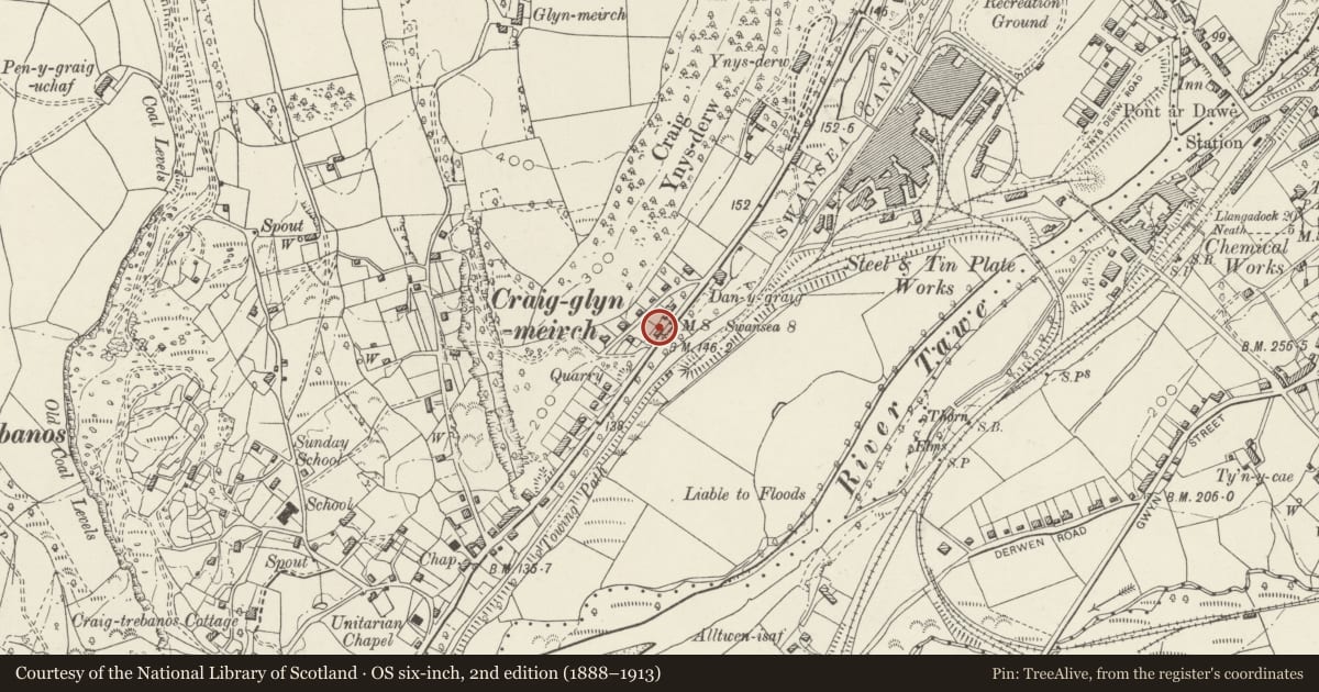Ordnance Survey six-inch map, 2nd edition (1888–1913) covering the location of The Old Tollhouse, Pontardawe, Neath Port Talbot, with a pin at the register's coordinates