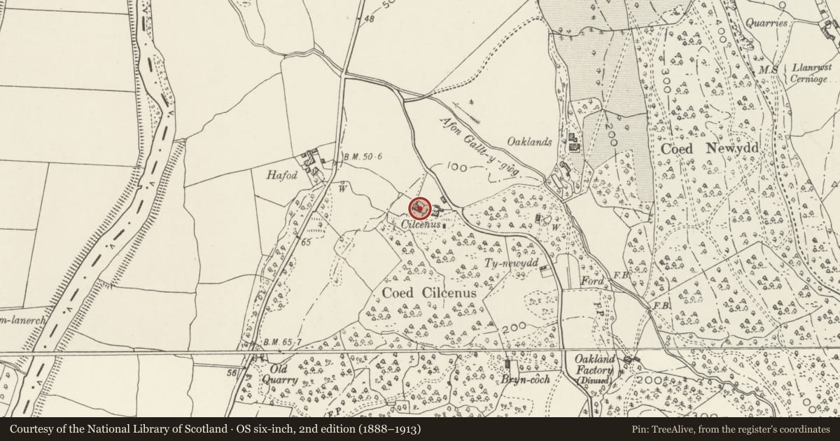 Ordnance Survey six-inch map, 2nd edition (1888–1913) covering the location of Cilcennus, Bro Garmon, Conwy, with a pin at the register's coordinates