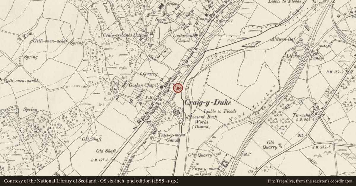 Ordnance Survey six-inch map, 2nd edition (1888–1913) covering the location of Trebannws Multi-Overflow & Outlet Sluice from the Swansea Canal, Pontardawe, Neath Port Talbot, with a pin at the register's coordinates
