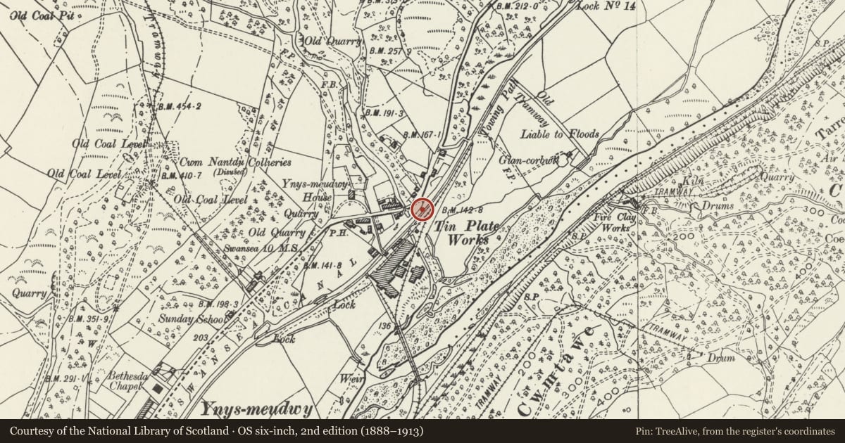 Ordnance Survey six-inch map, 2nd edition (1888–1913) covering the location of Cwm Du Outfall and overflow sluice on Swansea Canal, Ystalyfera, Neath Port Talbot, with a pin at the register's coordinates