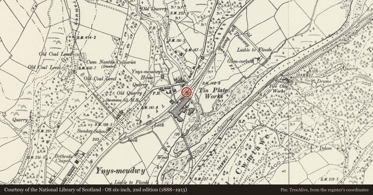 Ordnance Survey six-inch map, 2nd edition (1888–1913) covering the location of Nant Du Aqueduct on Swansea Canal (partly in Ystalyfera community), Pontardawe, Neath Port Talbot, with a pin at the register's coordinates