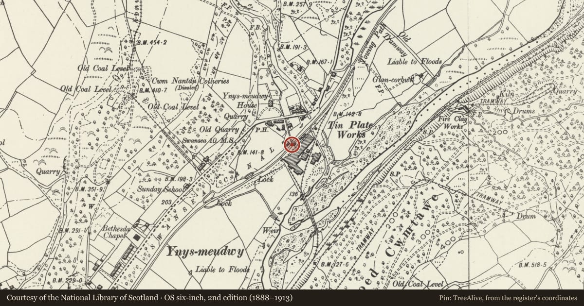 Ordnance Survey six-inch map, 2nd edition (1888–1913) covering the location of Ynysmeudwy Uchaf Overbridge on Swansea Canal, Pontardawe, Neath Port Talbot, with a pin at the register's coordinates