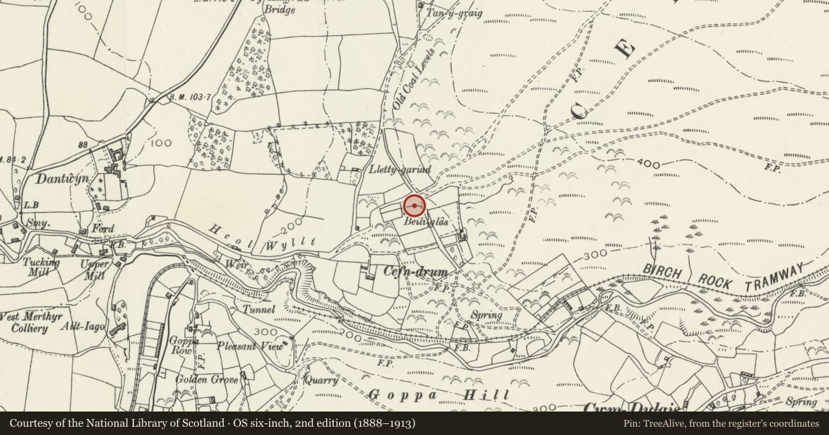 Ordnance Survey six-inch map, 2nd edition (1888–1913) covering the location of Circular Pigsty at Beili Gras, Pontardulais, Swansea, with a pin at the register's coordinates