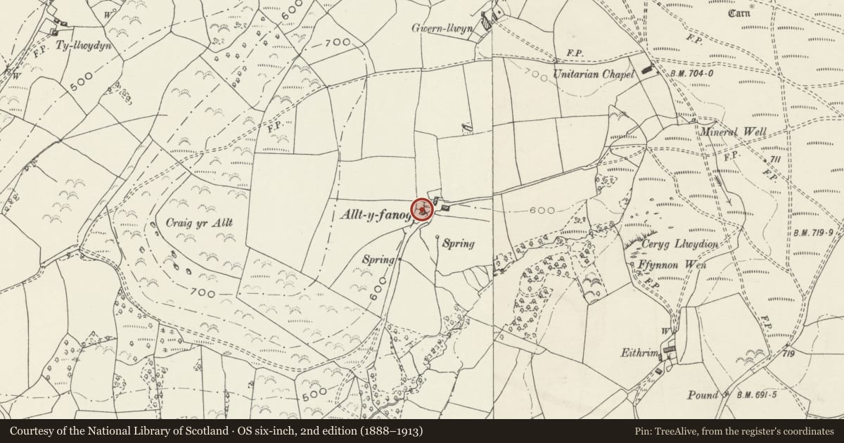 Ordnance Survey six-inch map, 2nd edition (1888–1913) covering the location of Allt-y-fanog, Mawr, Swansea, with a pin at the register's coordinates
