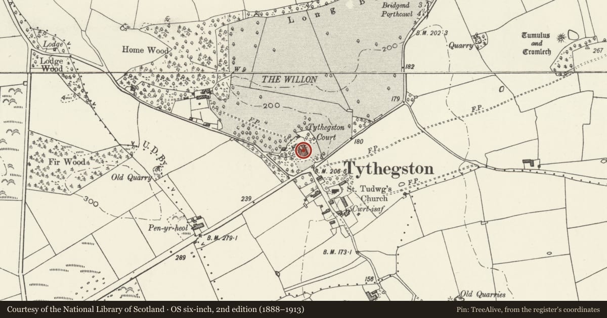Ordnance Survey six-inch map, 2nd edition (1888–1913) covering the location of Tythegston Court, Merthyr Mawr, Bridgend, with a pin at the register's coordinates