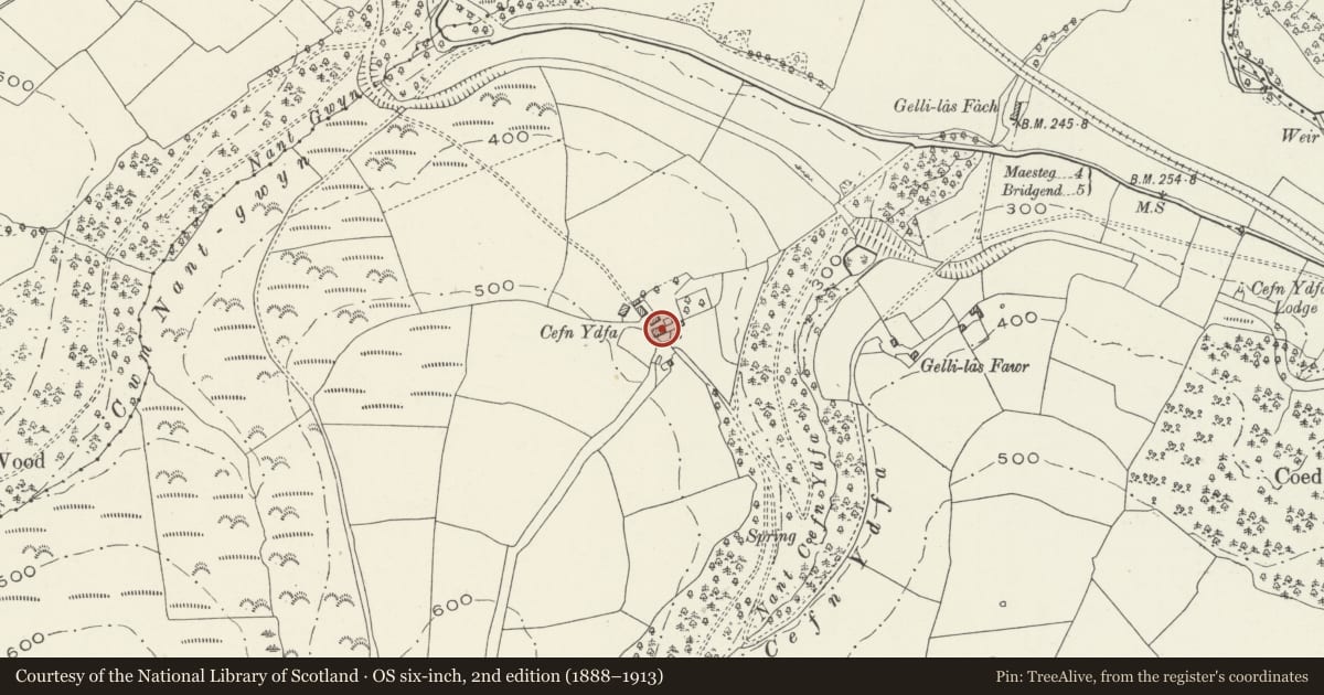 Ordnance Survey six-inch map, 2nd edition (1888–1913) covering the location of Cefn-ydfa farmhouse and adjoining ruins, Llangynwyd Lower, Bridgend, with a pin at the register's coordinates