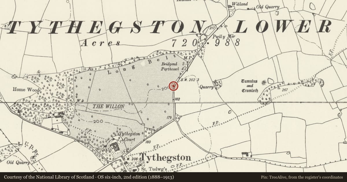Ordnance Survey six-inch map, 2nd edition (1888–1913) covering the location of Gate piers to Tythegston Court, Merthyr Mawr, Bridgend, with a pin at the register's coordinates