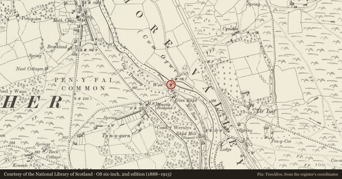 Ordnance Survey six-inch map, 2nd edition (1888–1913) covering the location of Glan Rhyd Railway Viaduct, Newcastle Higher, Bridgend, with a pin at the register's coordinates