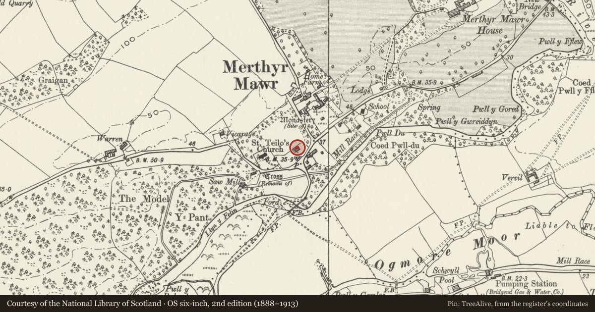 Ordnance Survey six-inch map, 2nd edition (1888–1913) covering the location of Wellingtonia, Merthyr Mawr, Bridgend, with a pin at the register's coordinates