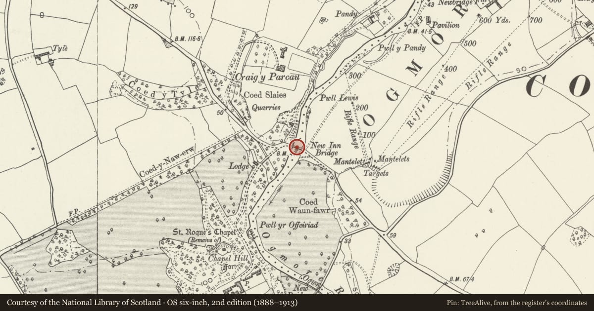 Ordnance Survey six-inch map, 2nd edition (1888–1913) covering the location of New Inn Bridge, Merthyr Mawr, Bridgend, with a pin at the register's coordinates