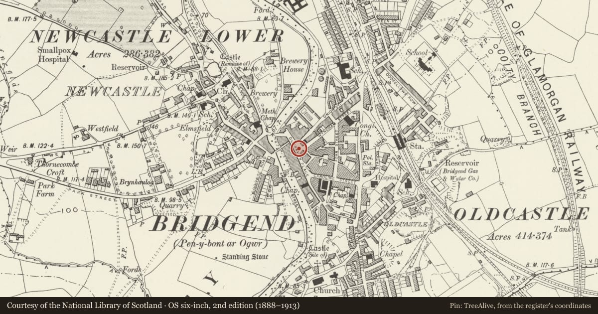 Ordnance Survey six-inch map, 2nd edition (1888–1913) covering the location of War Memorial, Bridgend, with a pin at the register's coordinates
