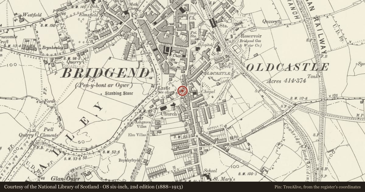 Ordnance Survey six-inch map, 2nd edition (1888–1913) covering the location of Garth Celyn, Bridgend, with a pin at the register's coordinates