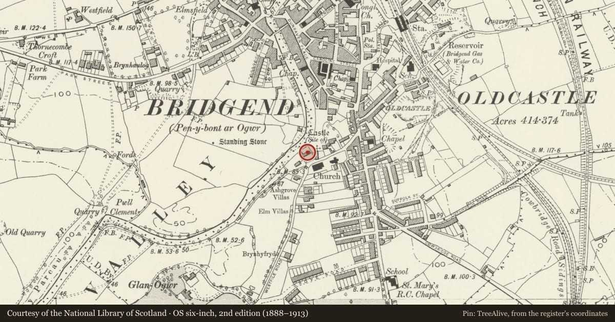 Ordnance Survey six-inch map, 2nd edition (1888–1913) covering the location of Riversdale, Bridgend, with a pin at the register's coordinates