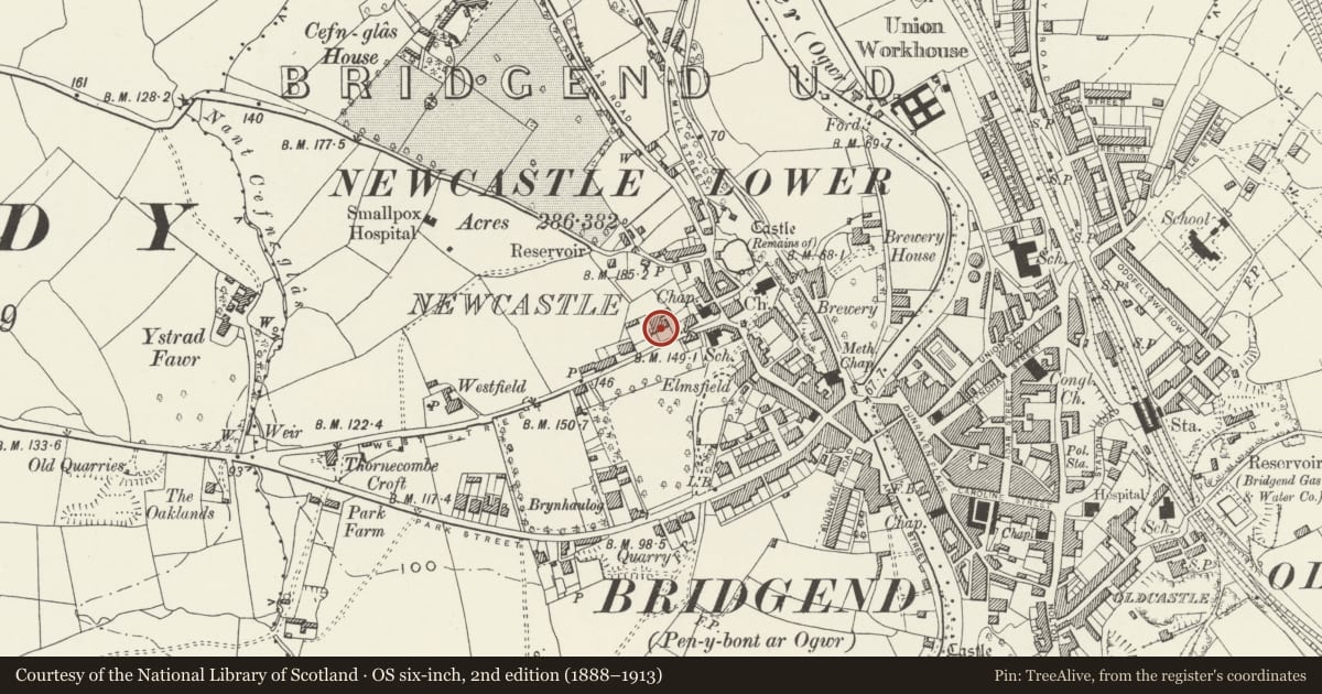 Ordnance Survey six-inch map, 2nd edition (1888–1913) covering the location of Newcastle House, Bridgend, with a pin at the register's coordinates