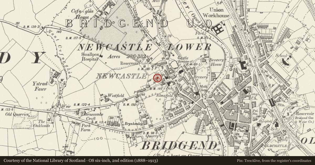 Ordnance Survey six-inch map, 2nd edition (1888–1913) covering the location of Garage & Outhouse range at Newcastle House, Bridgend, with a pin at the register's coordinates