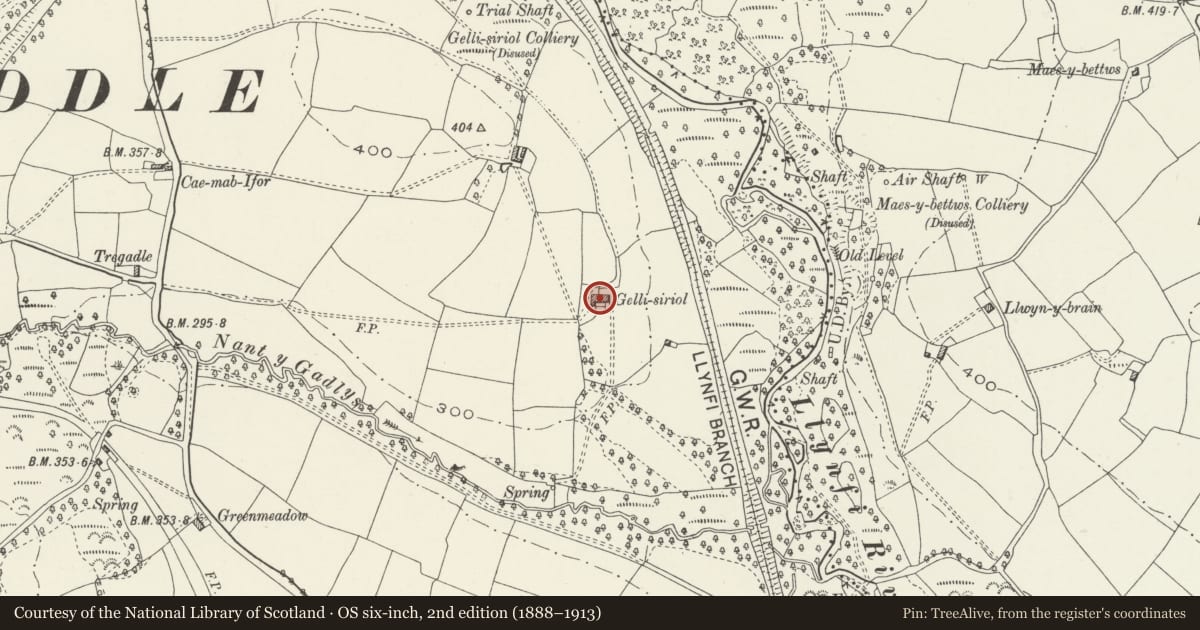 Ordnance Survey six-inch map, 2nd edition (1888–1913) covering the location of Gelli-siriol farmhouse, Llangynwyd Middle, Bridgend, with a pin at the register's coordinates