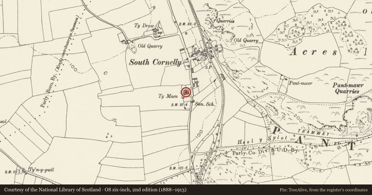 Ordnance Survey six-inch map, 2nd edition (1888–1913) covering the location of Ty-maen, Cornelly, Bridgend, with a pin at the register's coordinates