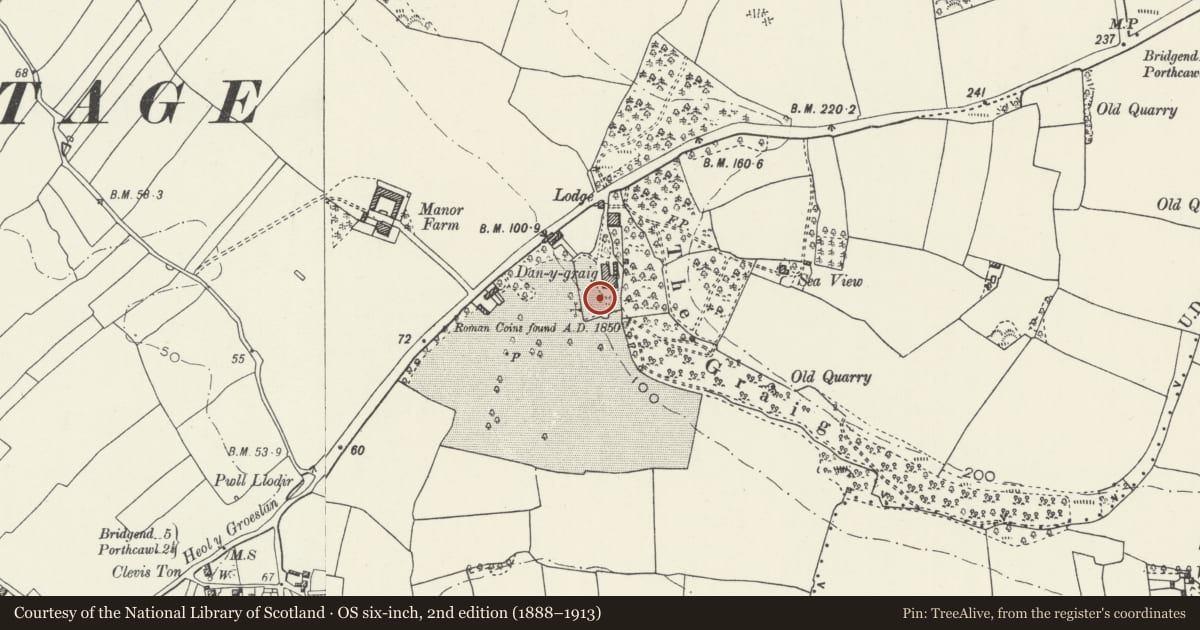 Ordnance Survey six-inch map, 2nd edition (1888–1913) covering the location of Danygraig House, Porthcawl, Bridgend, with a pin at the register's coordinates