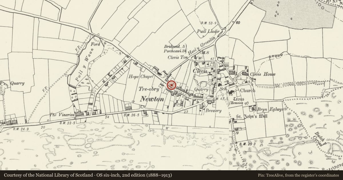 Ordnance Survey six-inch map, 2nd edition (1888–1913) covering the location of Tudor Cottage, Porthcawl, Bridgend, with a pin at the register's coordinates